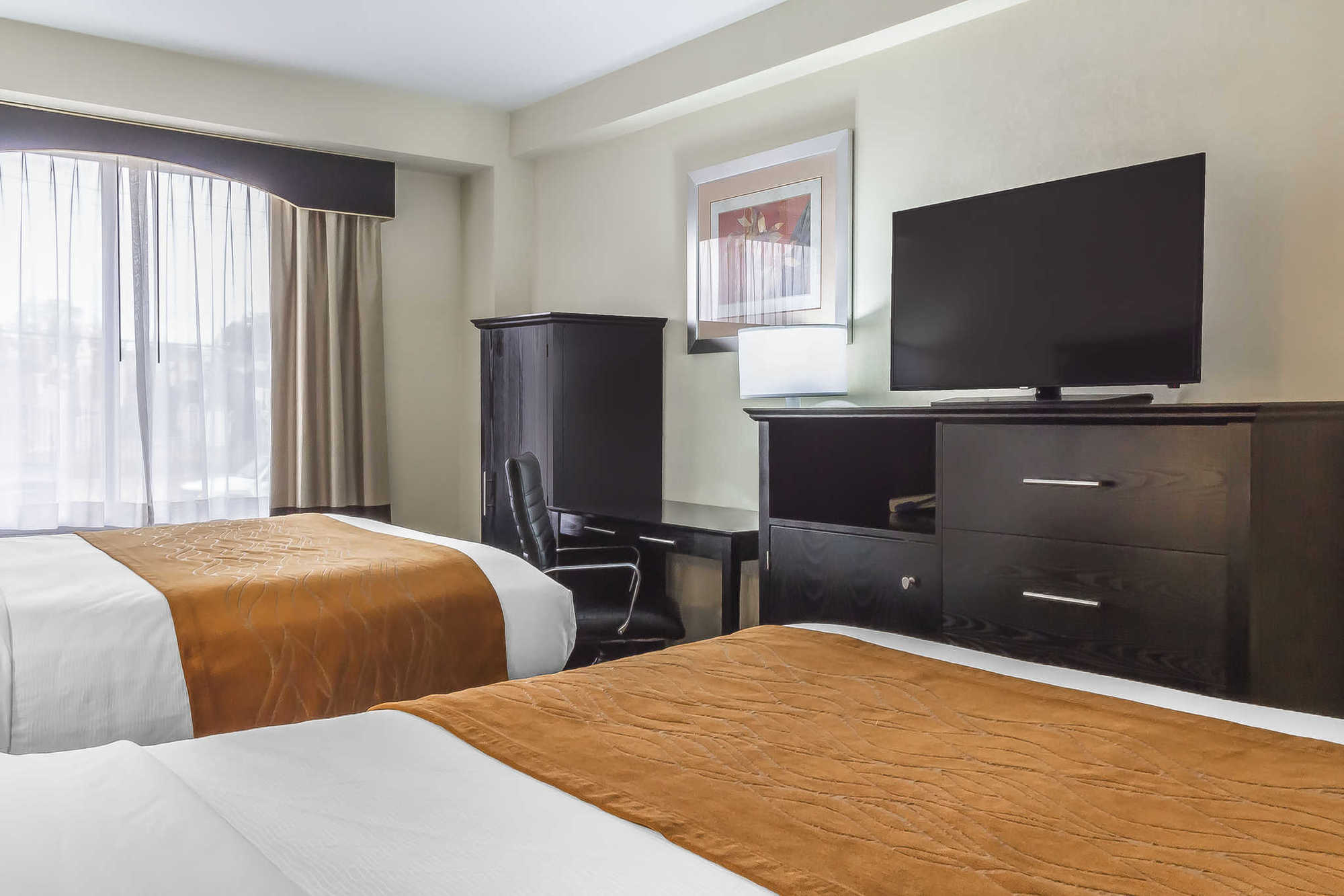 Comfort Inn & Suites Laguardia Airport Нью-Йорк Номер фото